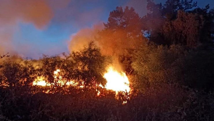 Hatay’ın Erzin ilçesinde ağaçlık alan yangını söndürüldü