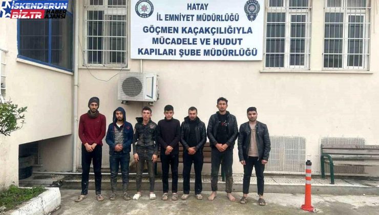 Hatay’da 12 kaçak göçmen yakalandı, 1 kişi tutuklandı