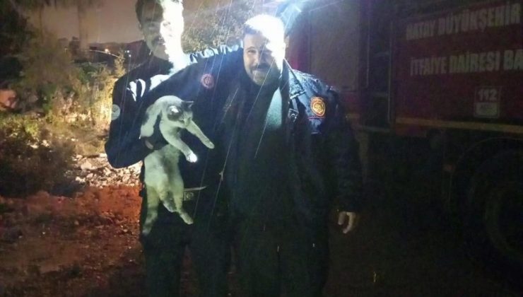 Hatay’da mahsur kalan kedi itfaiye tarafından kurtarıldı