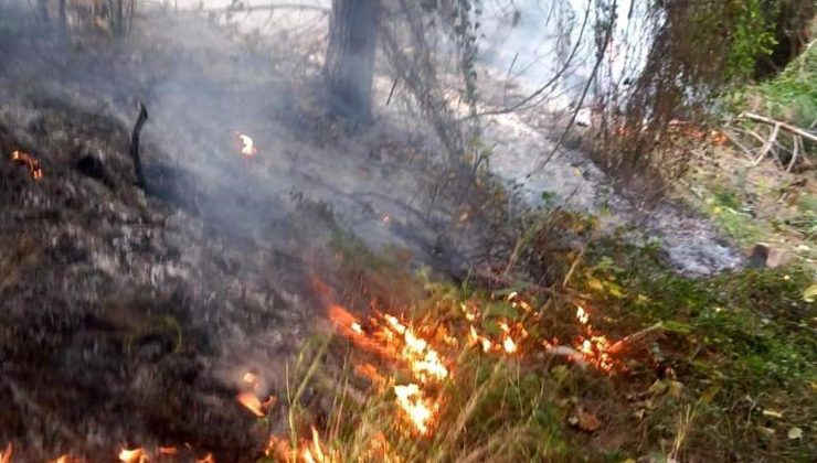 Hatay’ın Belen ilçesinde çıkan orman yangını söndürüldü