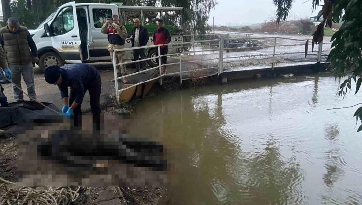 Hatay’ın Reyhanlı ilçesinde sulama kanalında erkek cesedi bulundu