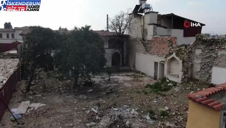 Sarsıntının Vurduğu Hatay’da Narenciyeler Kısımlarda Çürümeyi Bekliyor