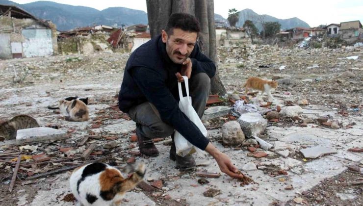 Zelzelenin Vurduğu Hatay’da Sokak Hayvanlarına Yardım