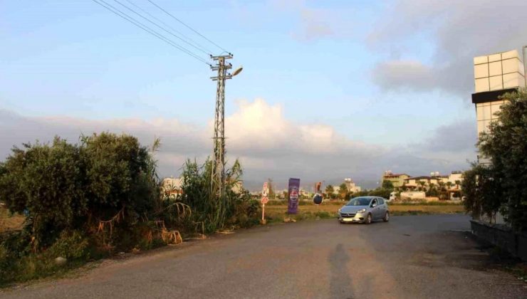 Hatay’da Başıboş Köpeklerin Saldırısı: Bir Bayan Yaralandı