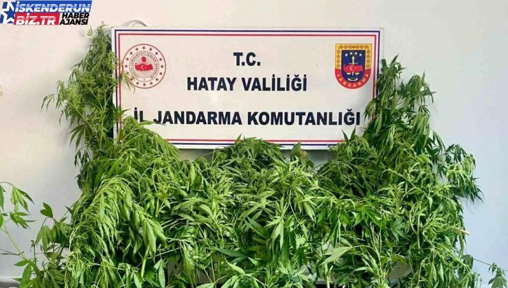 Hatay’da jandarma operasyonunda uyuşturucu bulundu