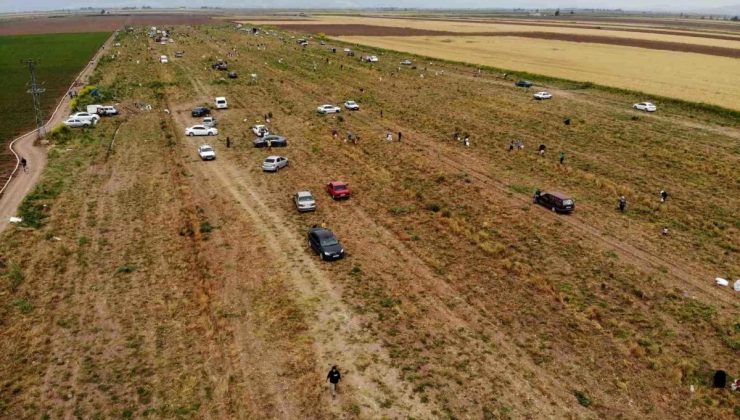 Hatay’da Parasız Dağıtılan Soğanlar Vatandaşları Tarlaya Akın Ettirdi