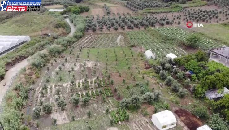 Hatay’da Şiddetli Yağmur Tarım Topraklarını Sular Altında Bıraktı