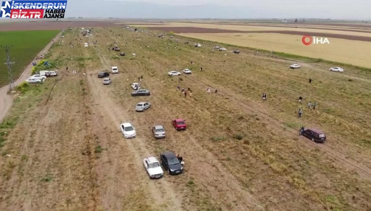 Hatay’da Ücretsiz Dağıtılan Soğanlar Vatandaşları Tarlaya Akın Ettirdi