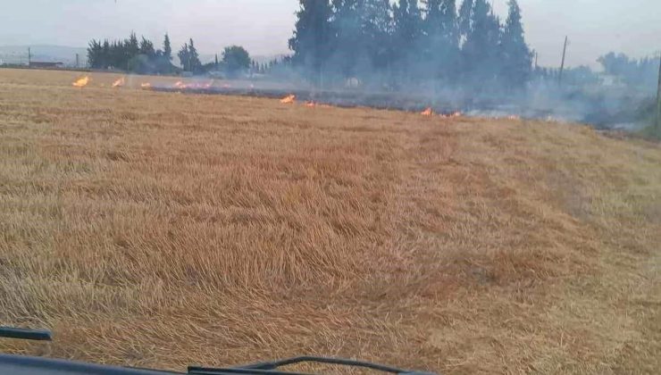 Hatay’ın Kumlu ilçesinde anız yangını büyümeden söndürüldü