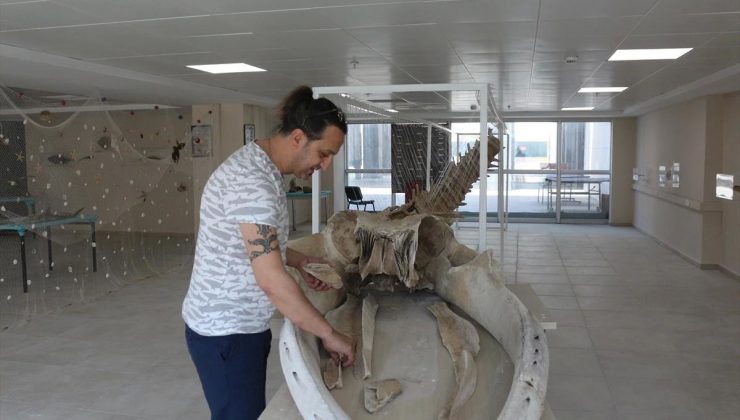 İskenderun’da açılışı ertelenen su altı müzesi 27 Mayıs’ta ziyaretçilerini ağırlamaya başlıyor