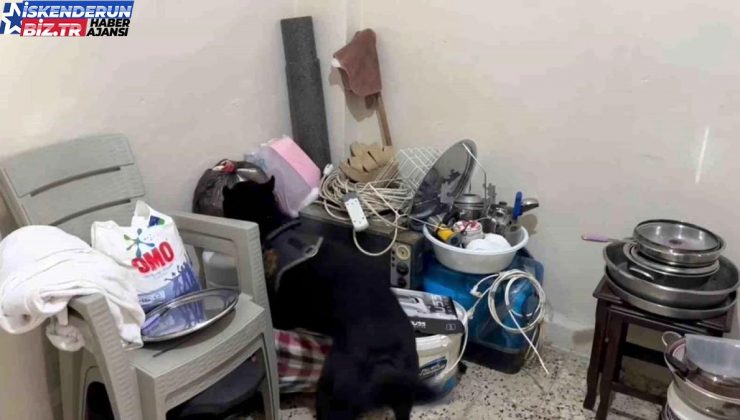 Hatay’da Uyuşturucu Operasyonu: Köpek Tarafından Bulundu