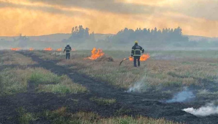 Hatay’ın Erzin ilçesinde çıkan yangın söndürüldü