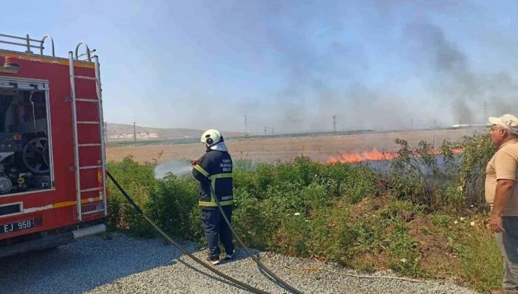 Hatay’ın Reyhanlı ilçesinde şehitlik etrafındaki yangın itfaiye grupları tarafından söndürüldü