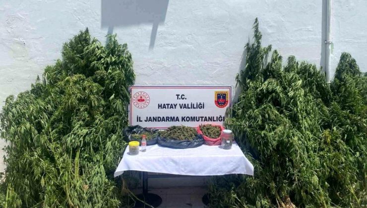 Hatay’ta Uyuşturucu Operasyonu: 30 Kuşkulu Gözaltına Alındı