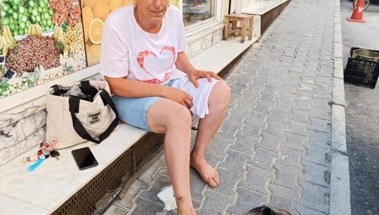 Samandağ’da motosiklet şoförü köpek saldırısına uğradı