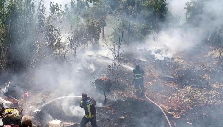 Antakya’da çıkan bahçe yangını söndürüldü