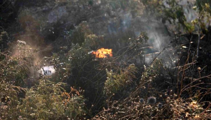 Antakya’da çıkan yangın itfaiye grupları tarafından söndürüldü