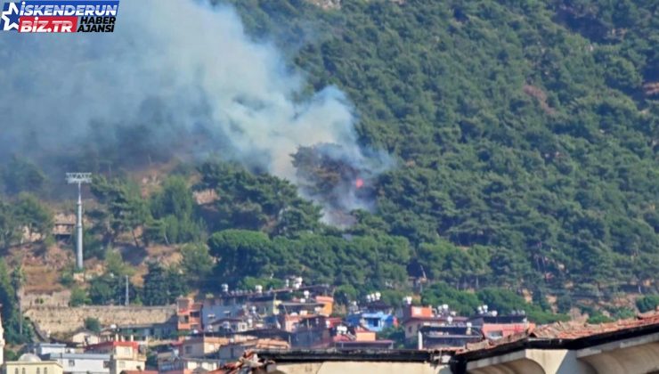 Antakya’da Habibi Neccar Dağı’nda çıkan yangın söndürüldü