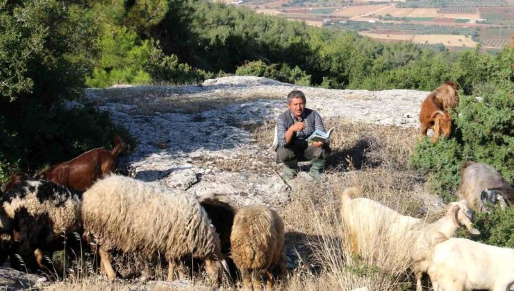 Çobanlık Yapan Şair Vehbi Gülen’den Şiir Kitabı