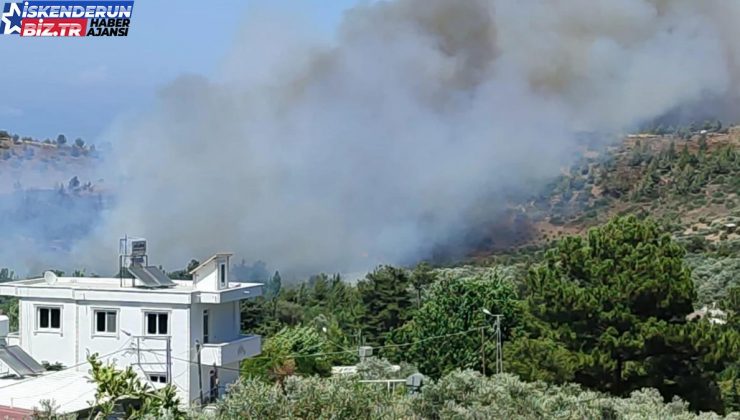 Hatay’da Orman Yangını Çıktı