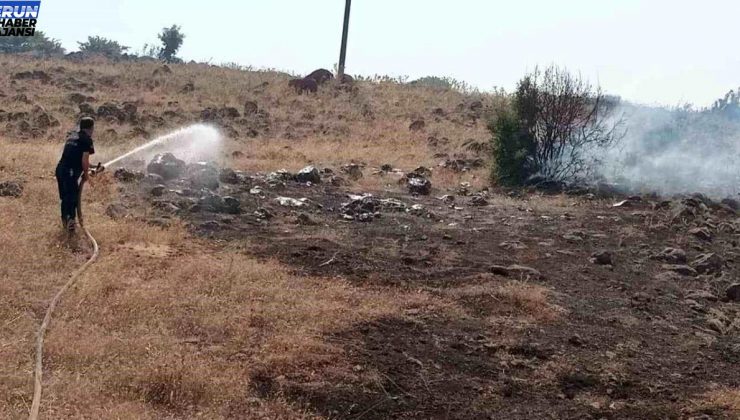 Hatay’da otluk alanda çıkan yangın söndürüldü