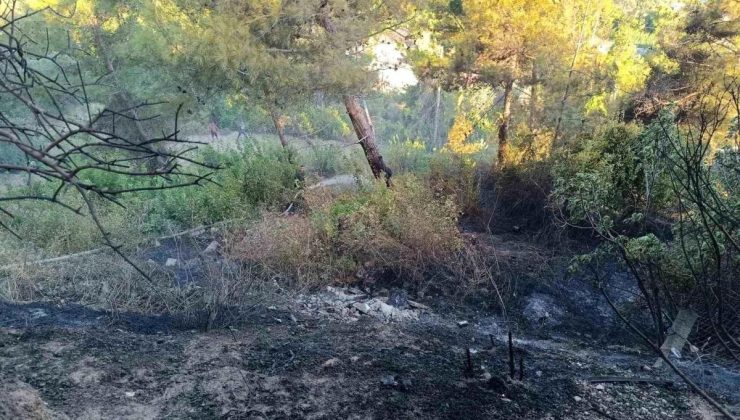 Hatay’da otluk alanda çıkan yangında traktör ziyan gördü