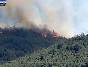 HATAY’DA YANGIN SON DAKİKA! Hatay’da orman yangını söndürüldü mü, son durum nedir? Hatay’da orman yangını nerede çıktı?