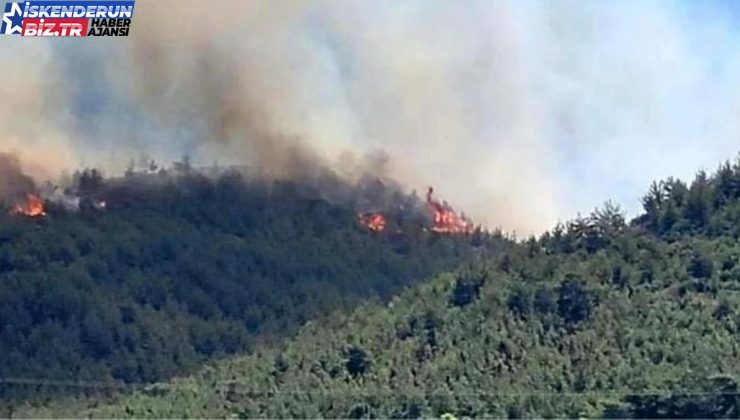 HATAY’DA YANGIN SON DAKİKA! Hatay’da orman yangını söndürüldü mü, son durum nedir? Hatay’da orman yangını nerede çıktı?