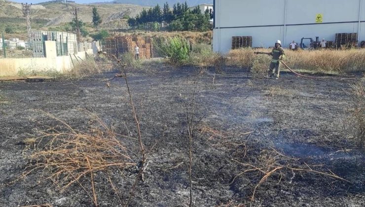 Hatay’ın Arsuz ilçesinde çıkan yangın söndürüldü