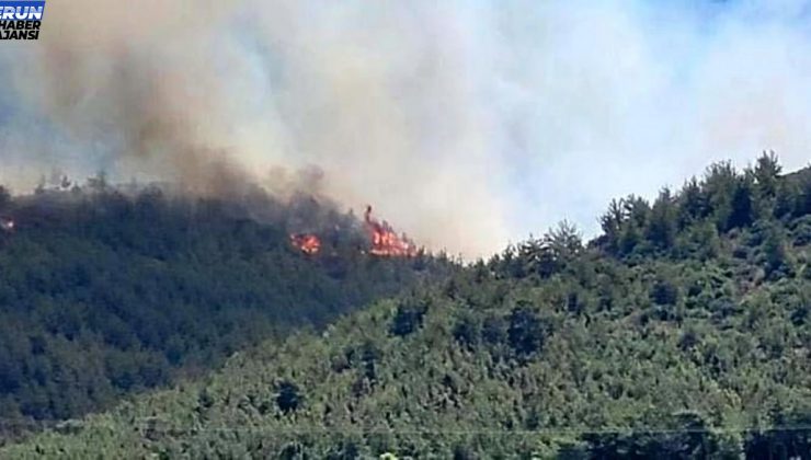 Hatay’ın Arsuz ilçesinde orman yangını çıktı