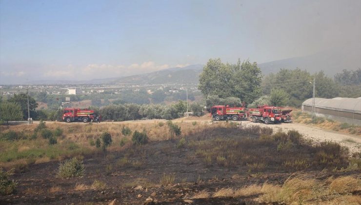 Hatay’ın Arsuz ilçesinde ormanlık alanda yangın çıktı