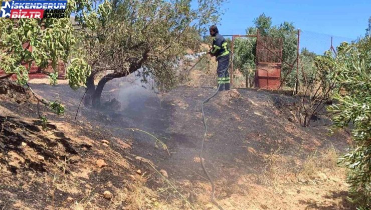 Hatay’ın Belen ilçesinde bahçede çıkan ot yangını söndürüldü