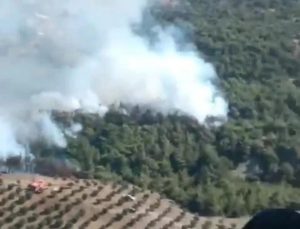 Hatay’ın Belen ilçesinde orman yangını çıktı