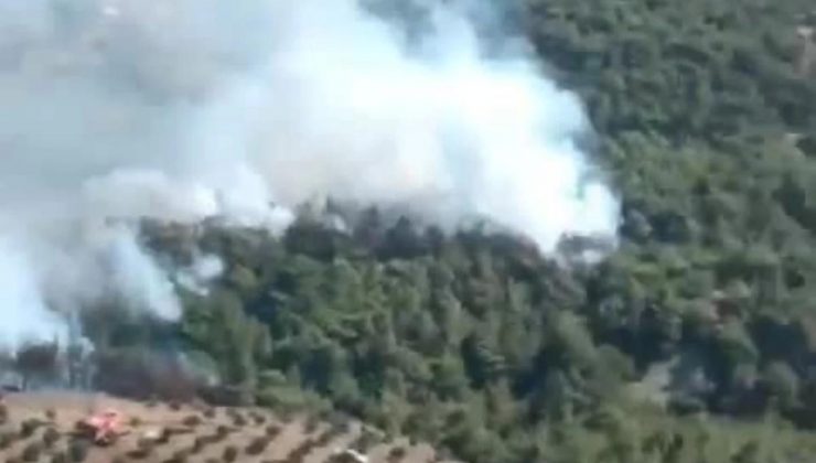 Hatay’ın Belen ilçesinde orman yangını çıktı