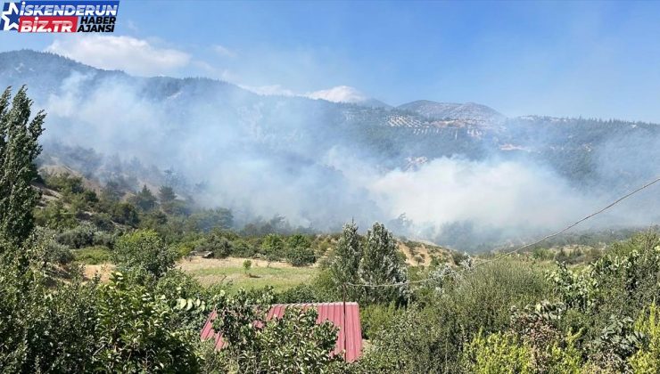 Hatay’ın Belen ilçesinde ormanlık alanda çıkan yangın denetim altına alındı