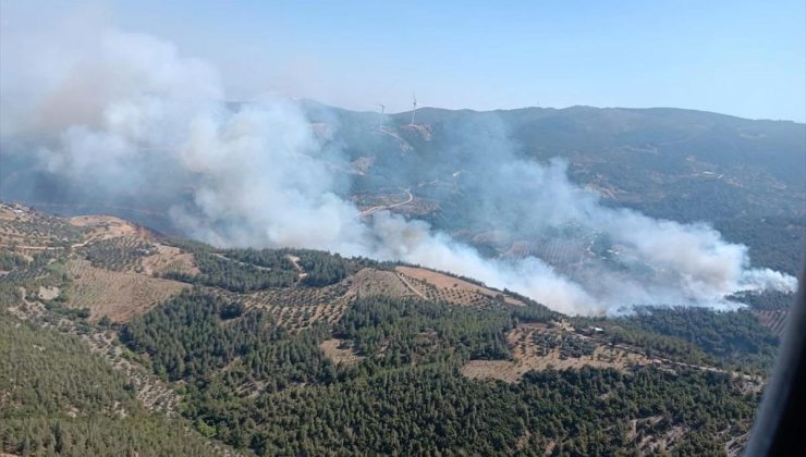 Hatay’ın Belen ilçesinde ormanlık alanda çıkan yangın denetim altına alınıyor