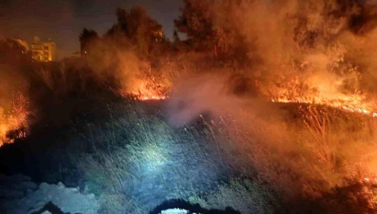 Hatay’ın Defne ilçesinde çıkan yangın söndürüldü