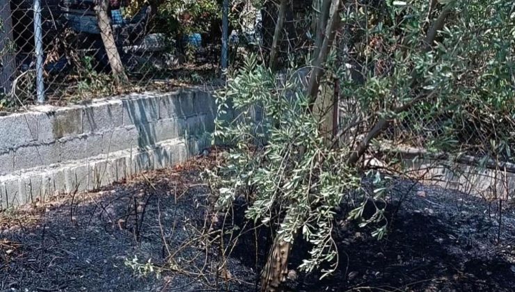 Hatay’ın Defne ilçesinde meskenin bahçesinde çıkan yangın söndürüldü