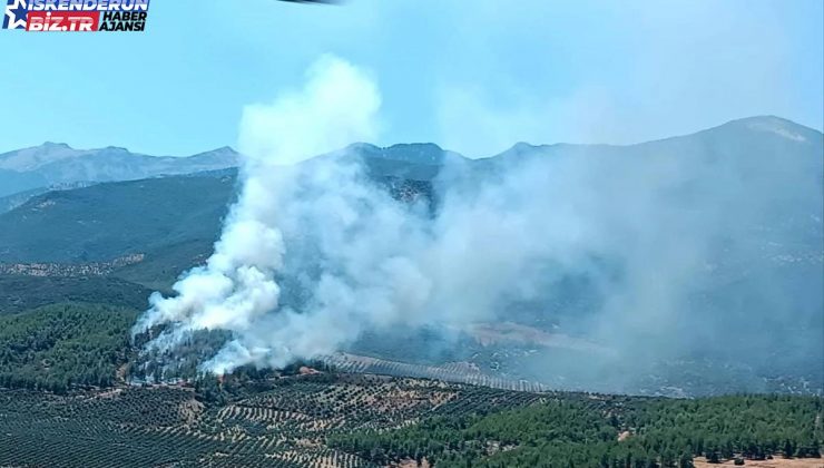 Hatay’ın Hassa ilçesinde orman yangınına müdahale başladı