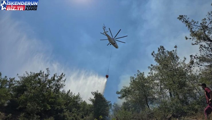 Hatay’ın Hassa ilçesinde ormanlık alanda yangın çıktı