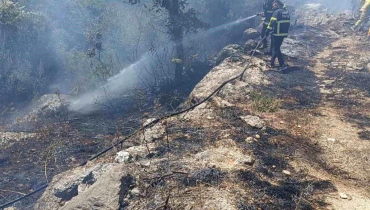 Hatay’ın Yayladağı ilçesinde orman yangını söndürüldü