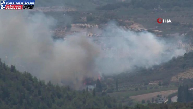 Altınözü’nde çıkan zeytinlik yangını itfaiye takımların müdahalesiyle söndürüldü