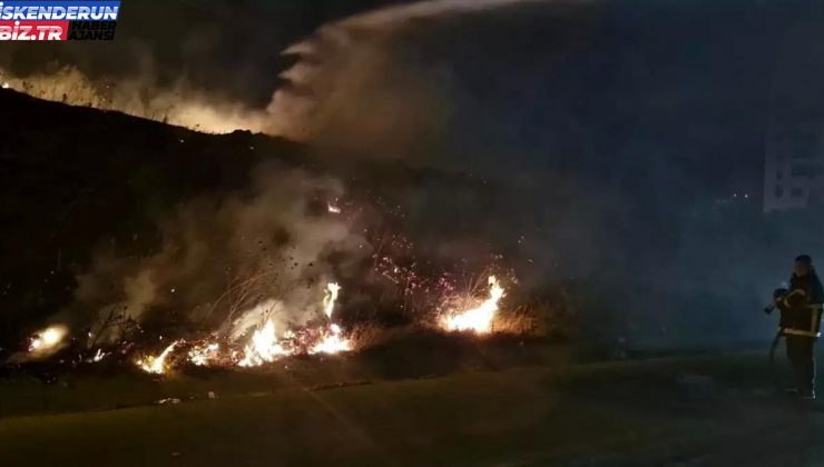 Antakya’da bir tarlada çıkan yangın söndürüldü