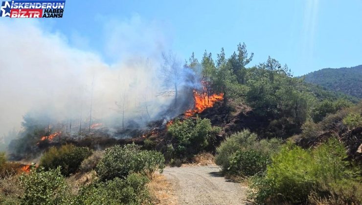 Antakya’da çıkan orman yangını denetim altına alındı