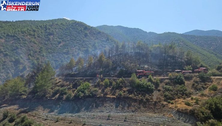 Antakya’da çıkan yangın denetim altına alındı