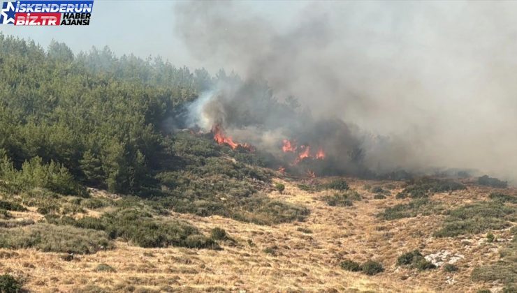 Antakya’da Orman Yangınına Havadan ve Karadan Müdahale Başlatıldı