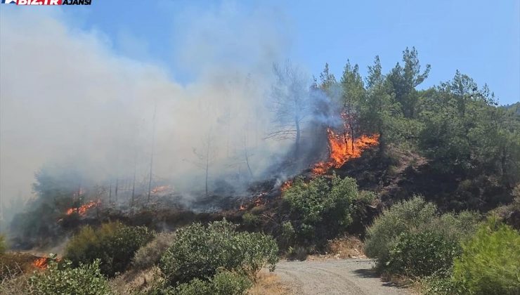 Antakya’da ormanlık alanda çıkan yangın denetim altına alındı