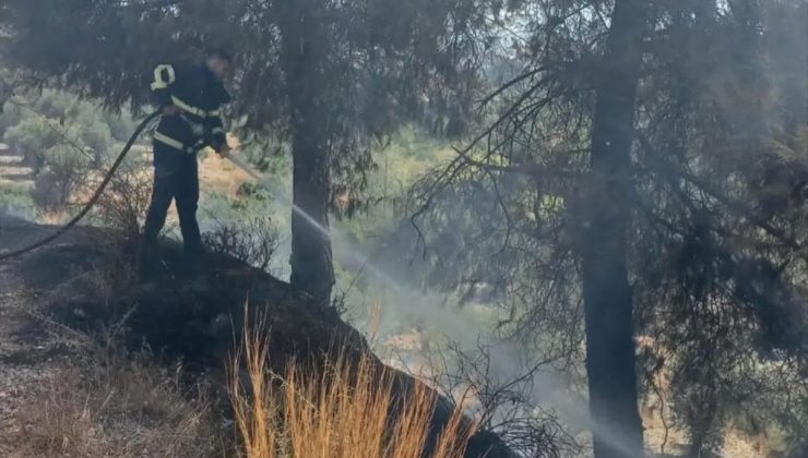 Antakya’da Ormanlık ve Otluk Alanlarda Çıkan Yangınlar Söndürüldü