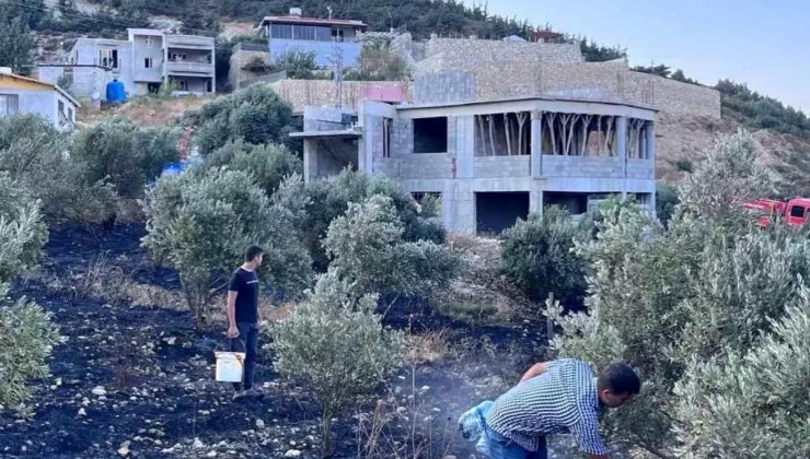 Antakya’da Zeytinlik Alanında Çıkan Yangın İtfaiye Tarafından Söndürüldü