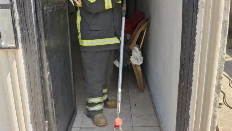 Arsuz’da konutun içine giren yılan itfaiye tarafından tabiata salındı